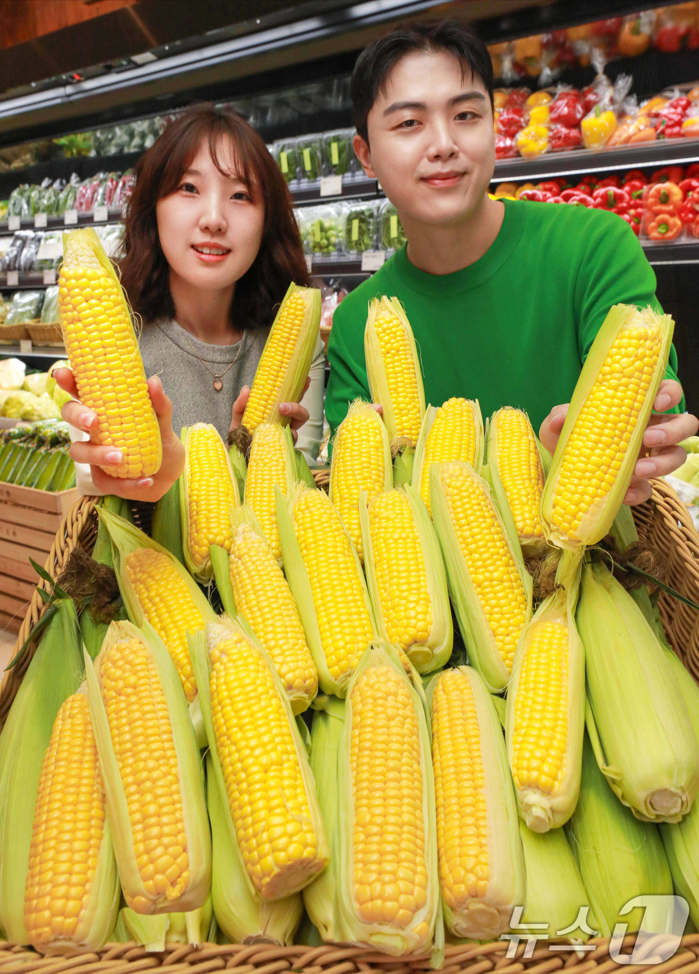 (서울=뉴스1) 박지혜 기자 = 18일 오전 서울 강남구 현대백화점 압구정본점 식품관에서 직원들이 올해 첫 수확한 초당옥수수를 선보이고 있다. 이번에 선보이는 '초당옥수수'는 일반 …