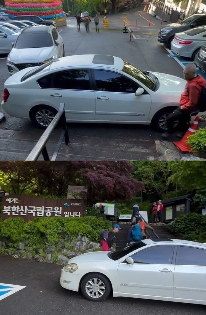 본문 이미지 - (온라인 커뮤니티 갈무리)