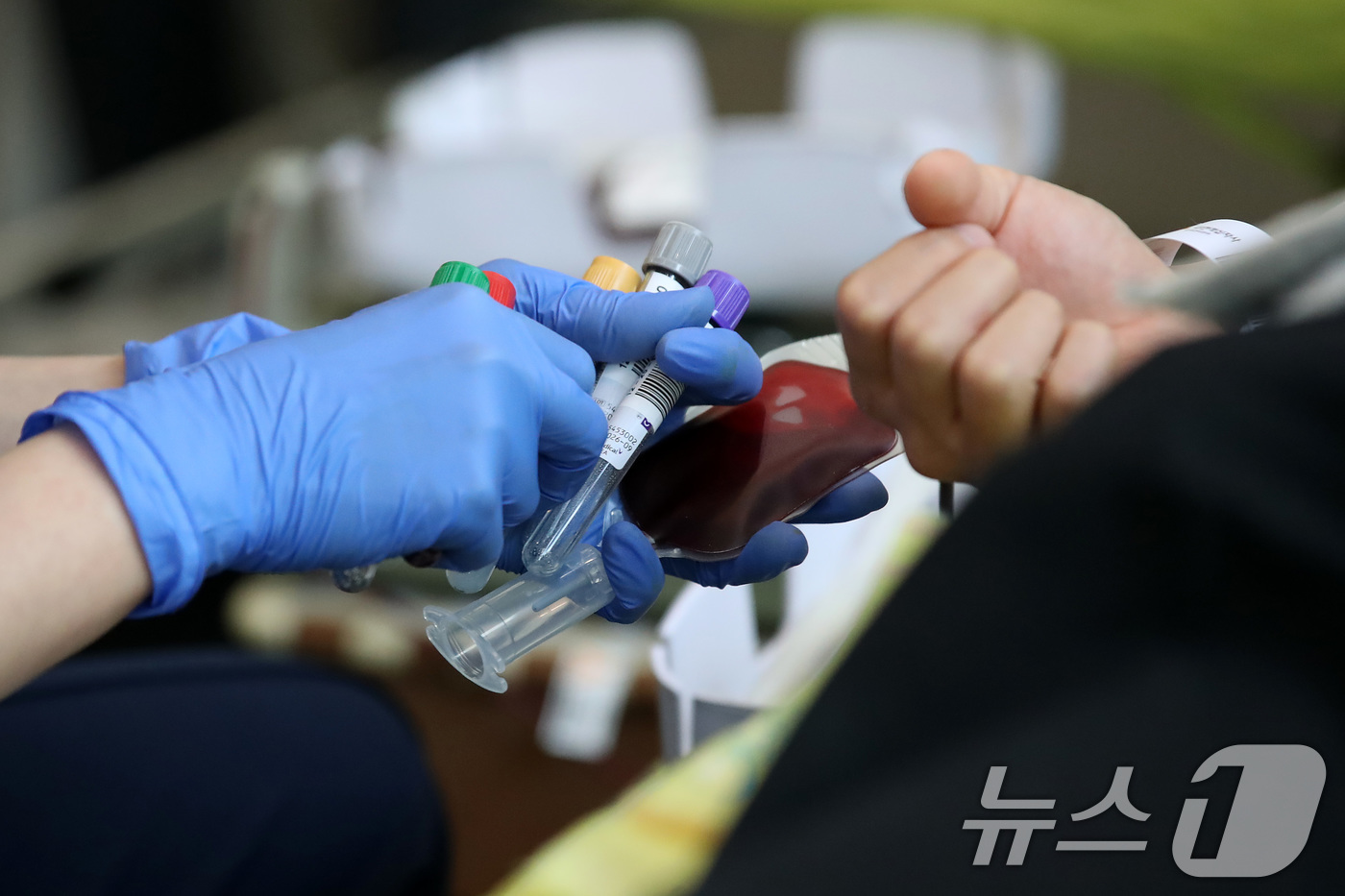 (대구=뉴스1) 공정식 기자 = 19일 오전 대구 북구 대구보건대 본관에서 열린 '제27회 헌혈 사랑 나눔 축제'를 찾은 학생들이 헌혈에 동참하고 있다.대구보건대는 1999년 '고 …