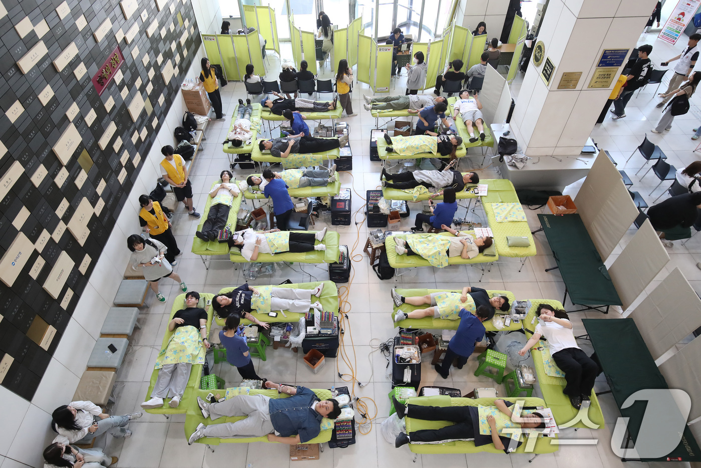 (대구=뉴스1) 공정식 기자 = 19일 오전 대구 북구 대구보건대 본관에서 열린 '제27회 헌혈 사랑 나눔 축제'를 찾은 학생들이 헌혈에 동참하고 있다.대구보건대는 1999년 '고 …