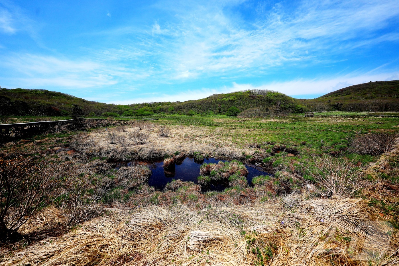 (인제=뉴스1) 이종재 기자 = 지난 18일 오후 강원 인제군 서화면 일원에 위치한 용늪이 빼어난 자연환경을 자랑하고 있다.  용늪은 해발 1280m 높이에 위치한 우리나라 유일의 …