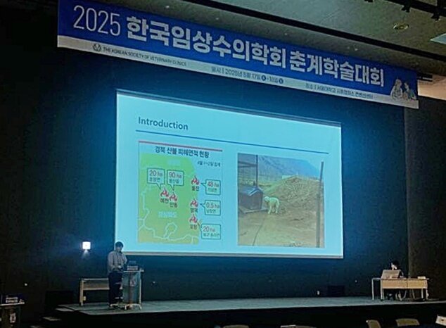 본문 이미지 - 정한울 로얄동물메디컬센터 수의사가 2025 한국임상수의학회 춘계학술대회에서 발표하고 있다(로얄동물메디컬센터 제공). ⓒ 뉴스1