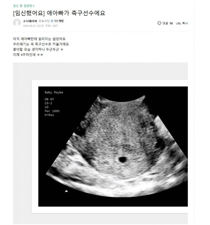 본문 이미지 - &#40;온라인 커뮤니티 갈무리&#41;