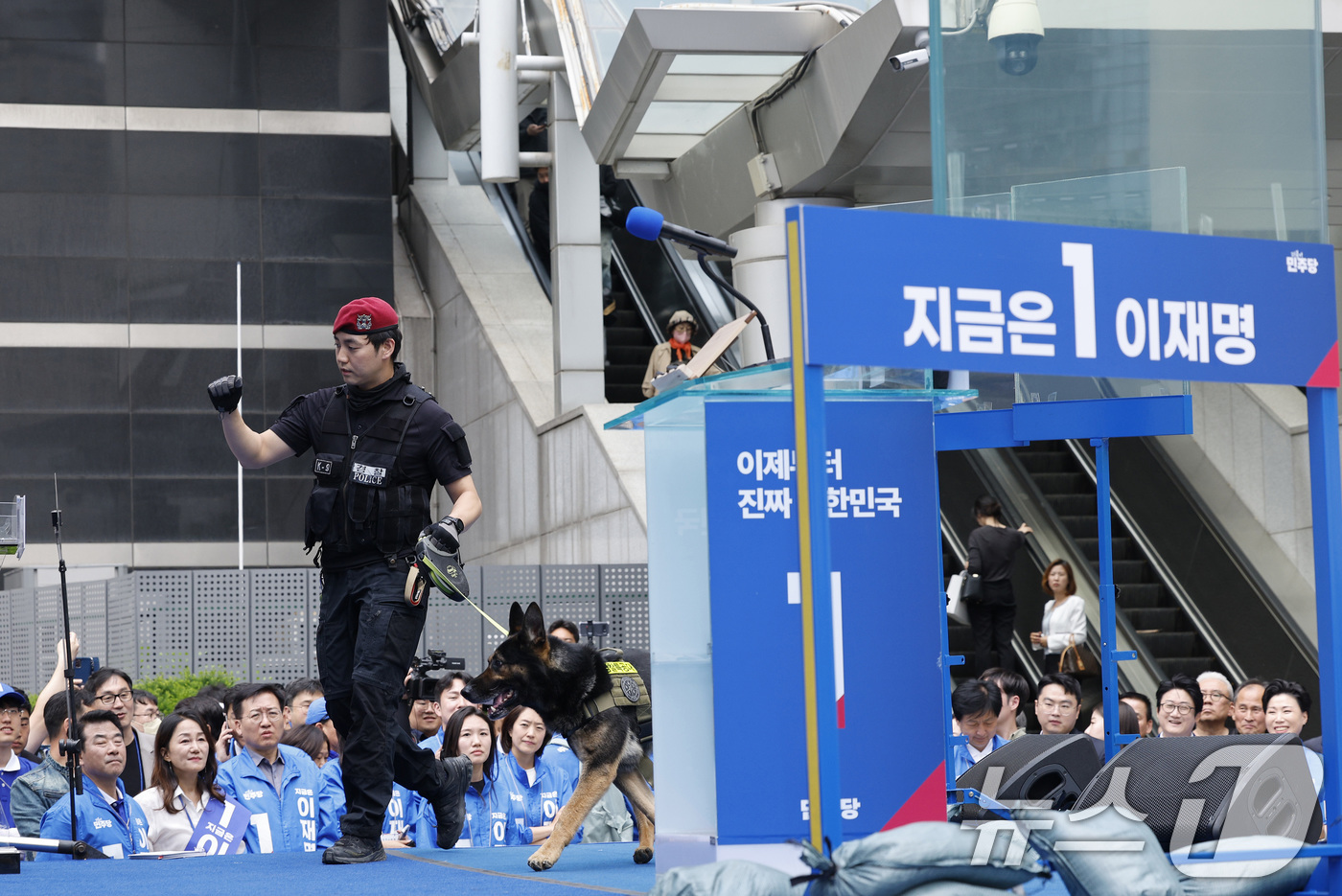 (서울=뉴스1) 안은나 기자 = 19일 오후 서울 용산역 광장에서 이재명 더불어민주당 대통령 후보의 집중유세가 예정된 가운데 폭발물 탐지견이 유세 전 무대를 살피고 있다. 2025 …