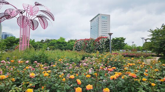 [오늘의 날씨] 광주·전남(21일, 수)…낮 기온 30도 가까이 초여름 날씨