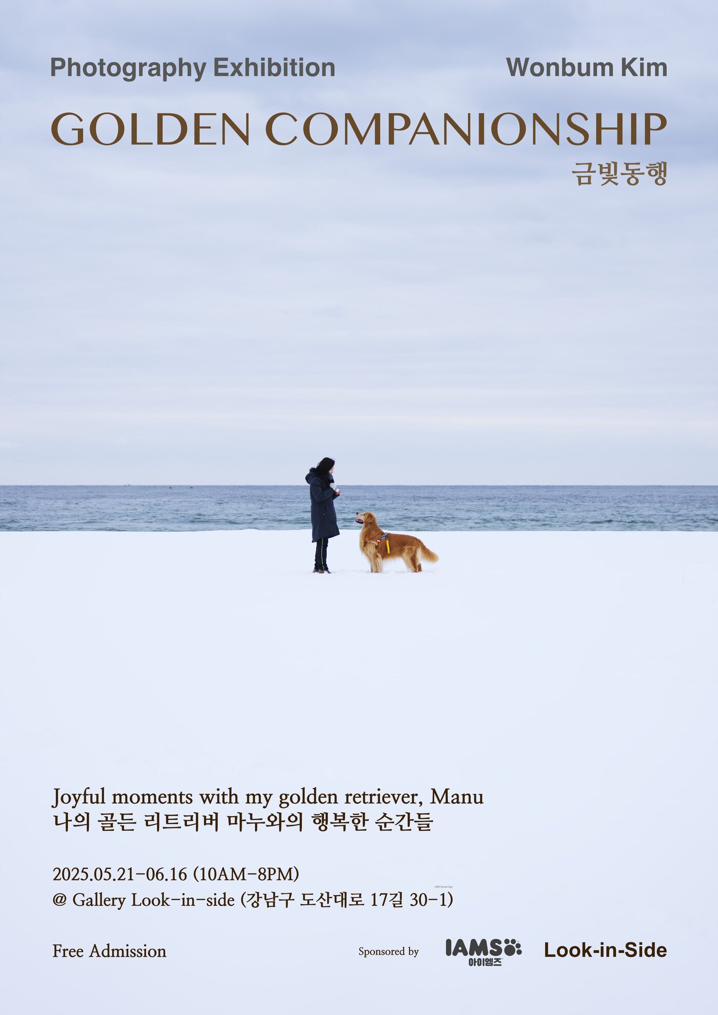 본문 이미지 - 배우 문정희가 반려견 &#39;마누&#39;와의 아름다운 추억을 되새기기 위한 특별한 사진전 &#39;금빛동행-나의 골든 리트리버 마누와의 행복한 순간들&#39;을 개최한다&#40;에이스팩토리 제공&#41;. ⓒ 뉴스1