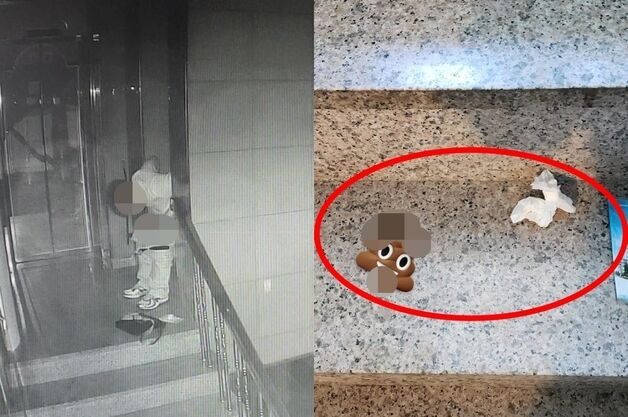 "건물 6층까지 올라 남의 집 문앞에 X 싼 남성…여친 손 잡고 도망" 경악