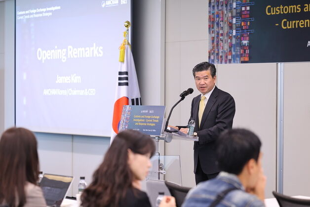 "관세법·외환거래법 위반 땐 형사처벌도"…선제 대응 전략 필요