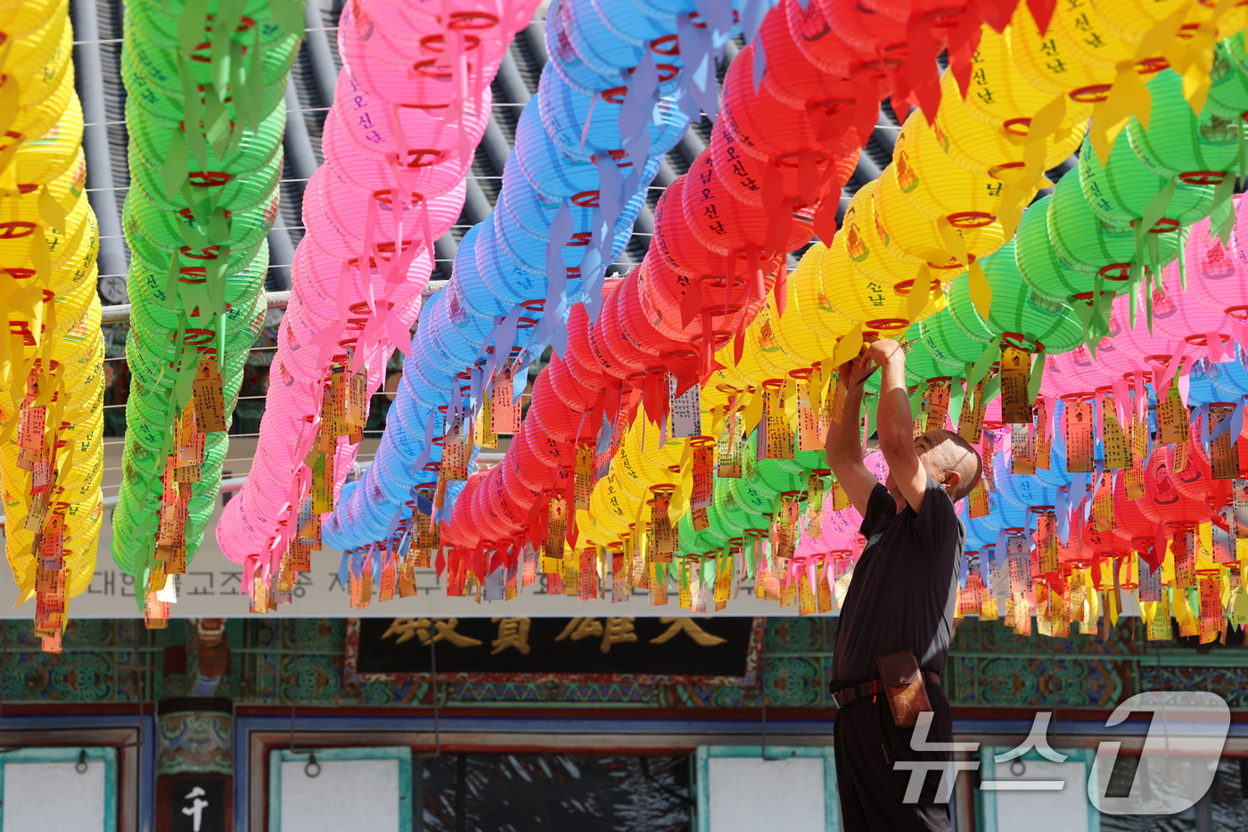(화성=뉴스1) 김영운 기자 = 부처님 오신 날을 사흘 앞둔 2일 오전 경기 화성시 용주사에서 관계자가 연등에 소원지를 달고 있다. 2025.5.2/뉴스1