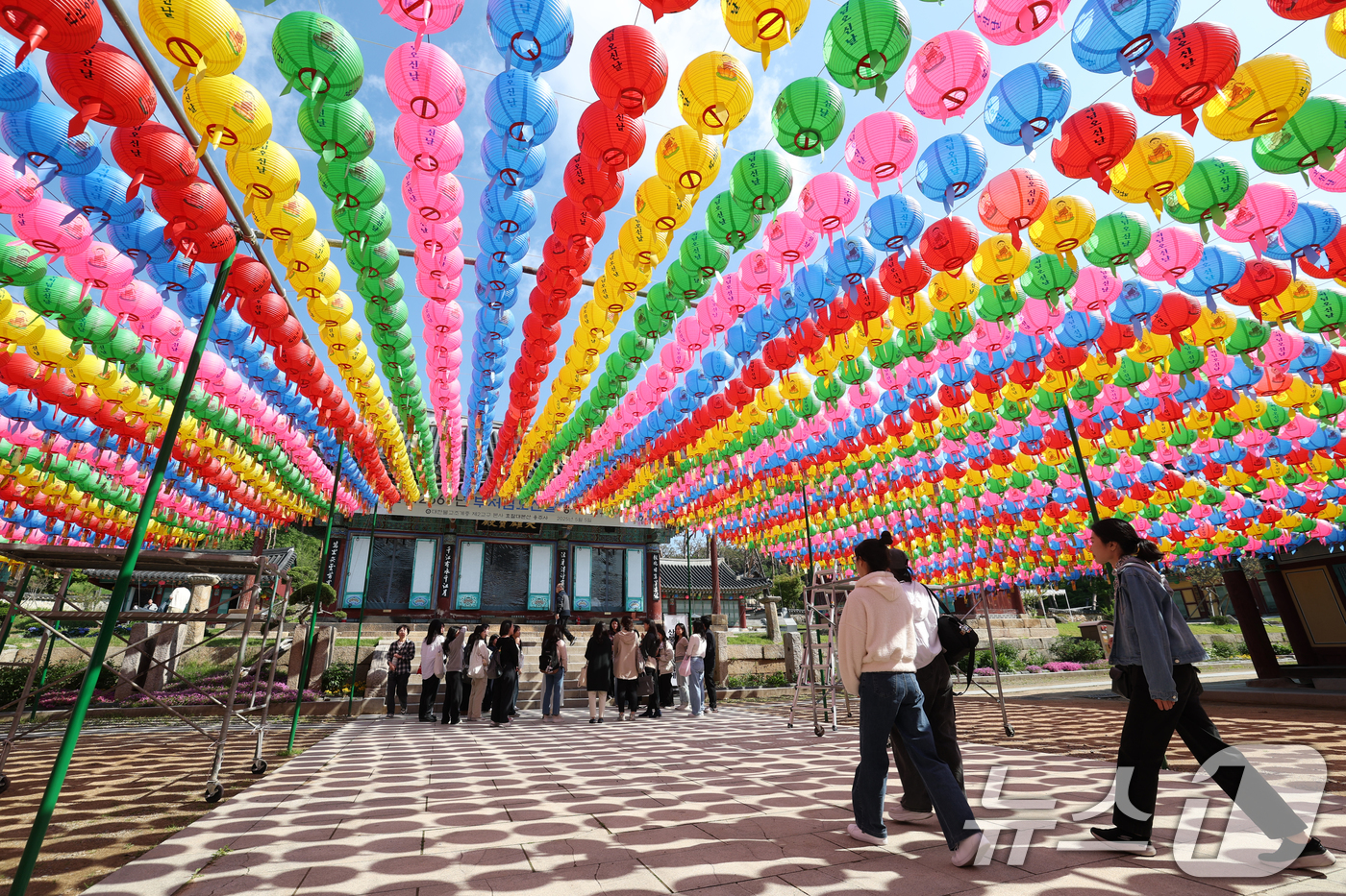 (화성=뉴스1) 김영운 기자 = 부처님 오신 날을 사흘 앞둔 2일 오전 경기 화성시 용주사에 형형색색의 연등이 바람에 휘날리고 있다. 2025.5.2/뉴스1