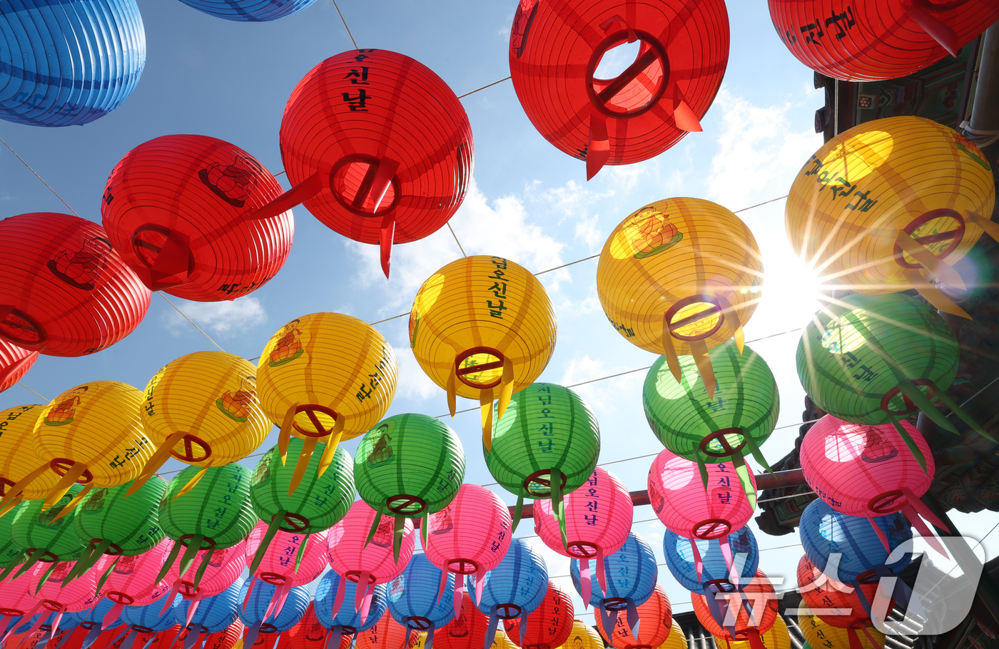 (화성=뉴스1) 김영운 기자 = 부처님 오신 날을 사흘 앞둔 2일 오전 경기 화성시 용주사에 형형색색의 연등이 바람에 휘날리고 있다. 2025.5.2/뉴스1