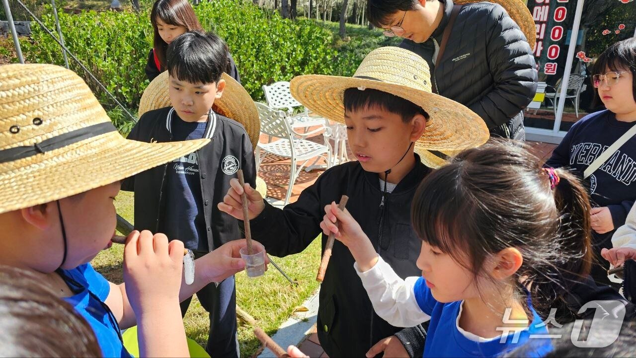 본문 이미지 - 신안교육청이 마련한 &#39;해양·생태 공동교육과정&#39;참여 학생들이 체험활동을 하고  있다.  &#40;전남도교육청 제공, 재판매 및 DB 금지&#41;