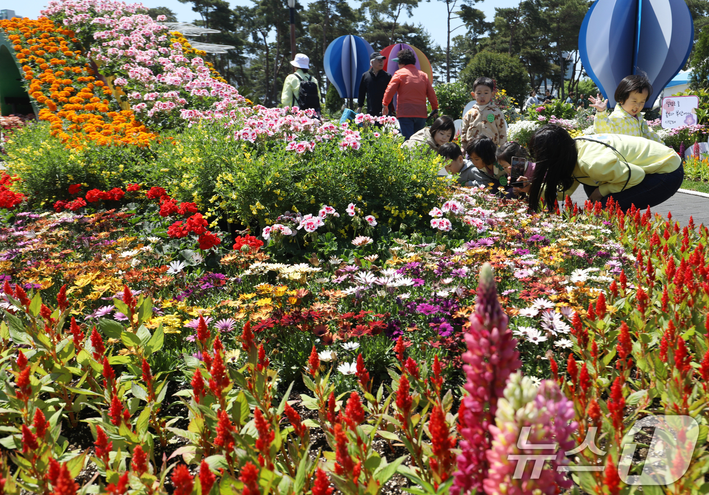(부산=뉴스1) 윤일지 기자 = 2일 부산 부산시민공원 다솜광장에서 열린 제5회 부산 봄꽃 전시회를 찾은 어린이들이 봄꽃을 구경하고 있다.  2025.5.2/뉴스1