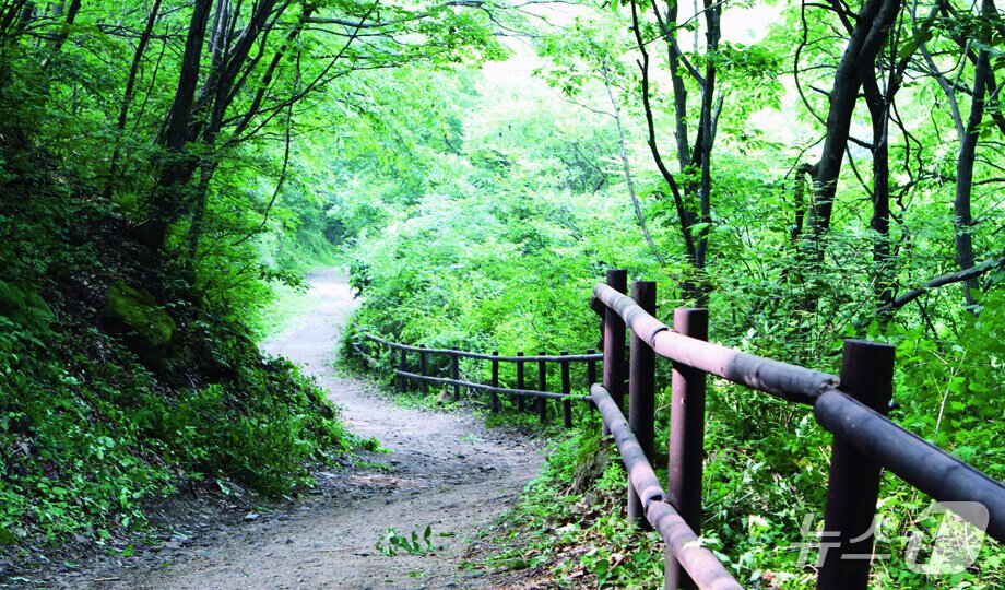 본문 이미지 - 문경의 관음리와 충주의 미륵리를 잇는 고갯길 하늘재 풍경.(충주시 제공. 재판매 및 DB금지)/뉴스1 