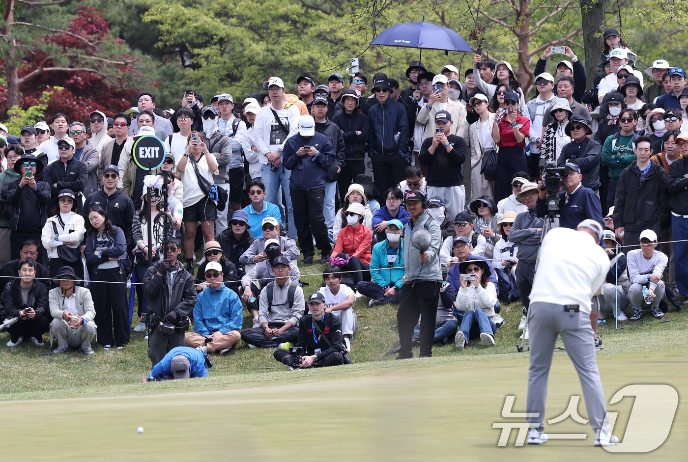 본문 이미지 - 브라이슨 디섐보가 2일 인천 송도동 잭니클라우스 골프클럽 코리아에서 열린 &#39;LIV골프 코리아 1라운드 5번홀에서 퍼팅을 하고 있다. 2025.5.2/뉴스1 ⓒ News1 김성진 기자