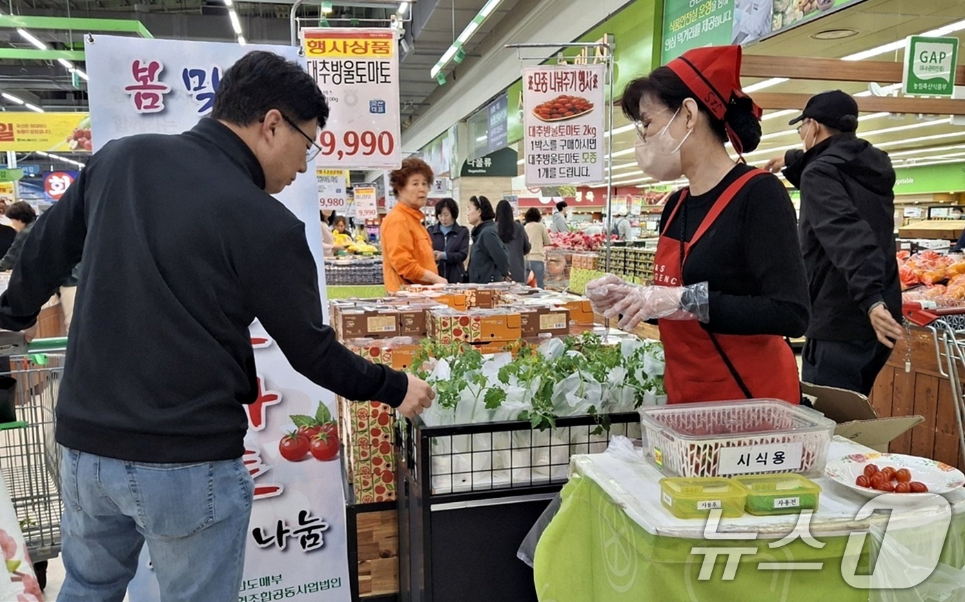 (서울=뉴스1) = 농협경제지주는 가정의 달을 맞아 지난 1일부터 6일간 농협하나로마트 양재점과 고양점에서 대추방울토마토 2KG 1박스 구매 고객을 대상으로 대추방울토마토 모종 증 …