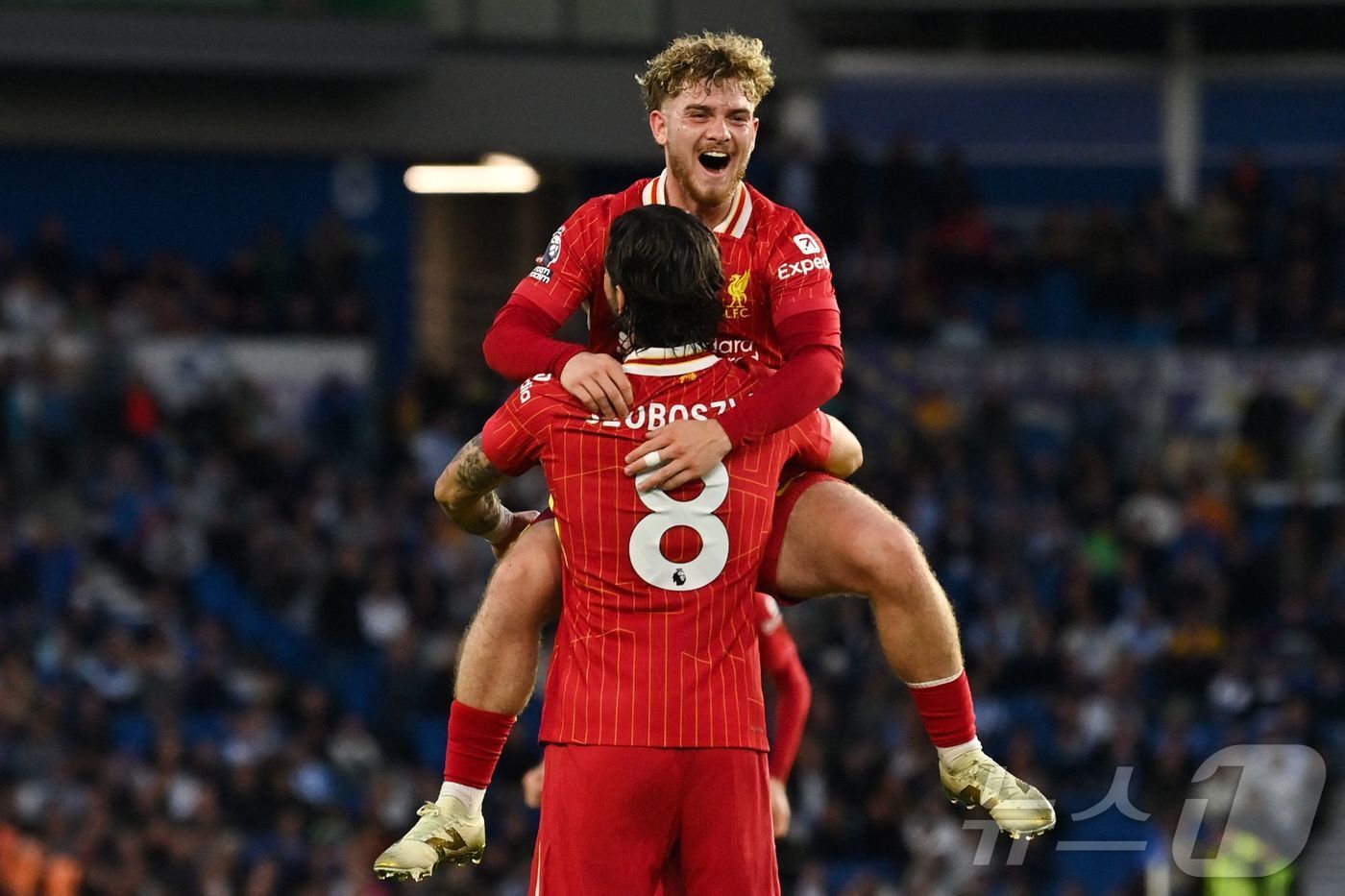 본문 이미지 - 리버풀은 20일(한국시간) 열린 2024-25 잉글랜드 프리미어리그 37라운드 브라이튼전에서 2-3으로 역전패했다. ⓒ AFP=뉴스1