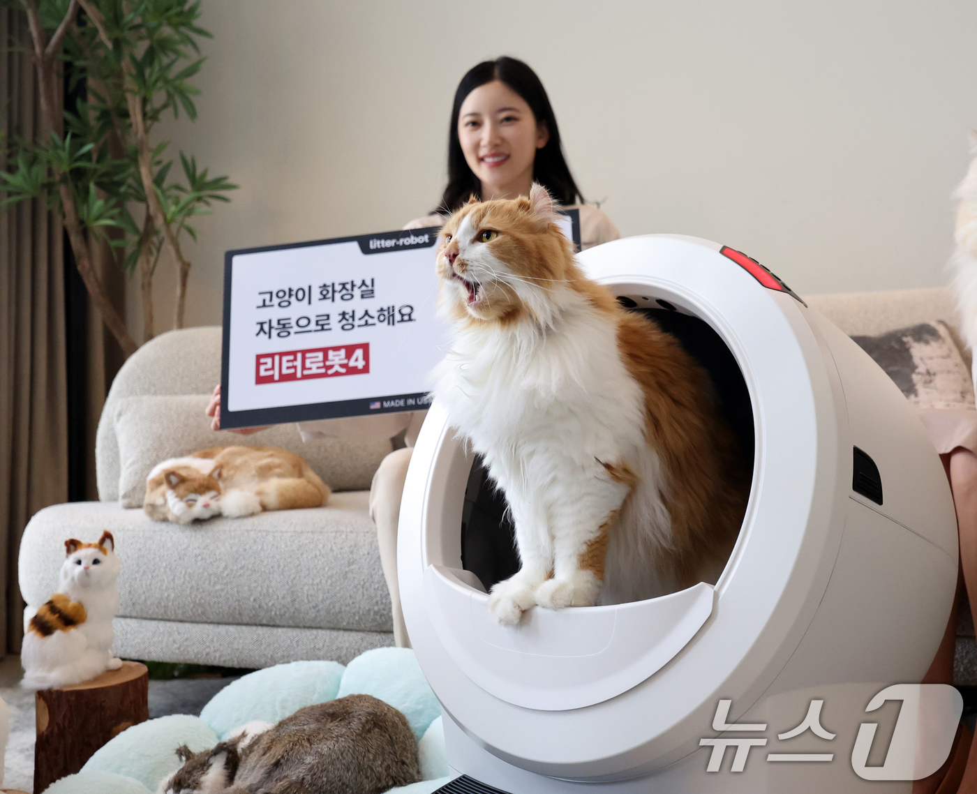 (서울=뉴스1) 황기선 기자 = 20일 오전 서울 강남구 라까사호텔에서 모델들이 고양이 자동 화장실 '리터로봇4'를 소개하고 있다.'리터로봇4'는 고양이가 화장실을 사용 후 일정 …