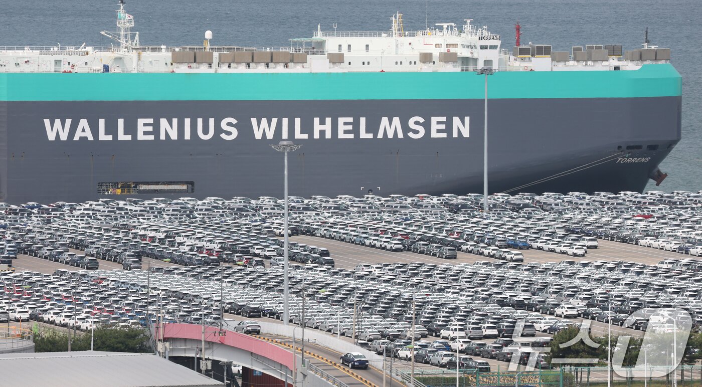 본문 이미지 - 20일 경기 평택시 포승읍 평택항 자동차전용부두에 수출용 차량들이 세워져 있다.  2025.5.20/뉴스1 ⓒ News1 김영운 기자