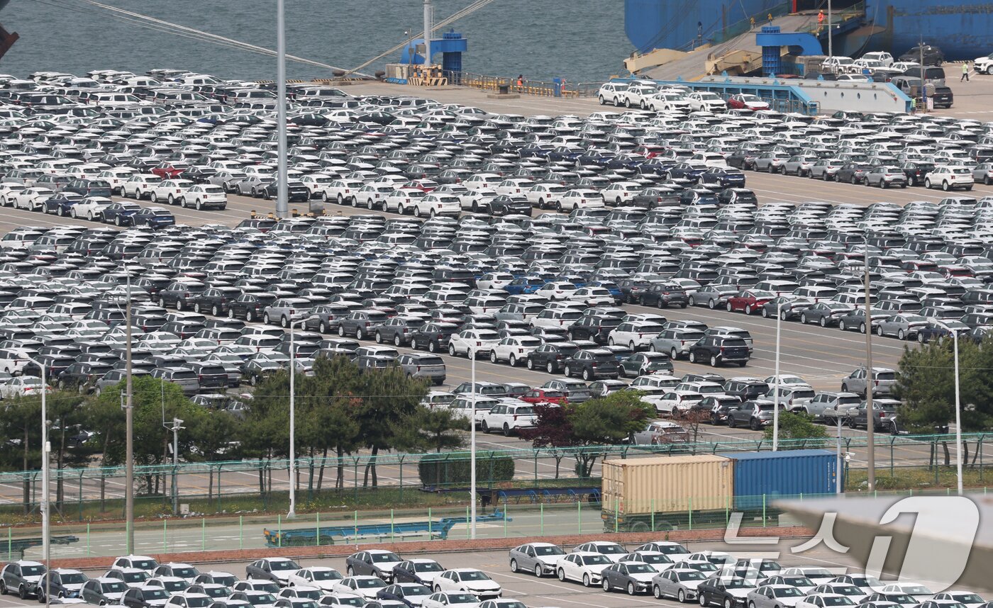 본문 이미지 - 20일 경기 평택시 포승읍 평택항 자동차전용부두에 수출용 차량들이 세워져 있다. 2025.5.20/뉴스1 ⓒ News1 김영운 기자