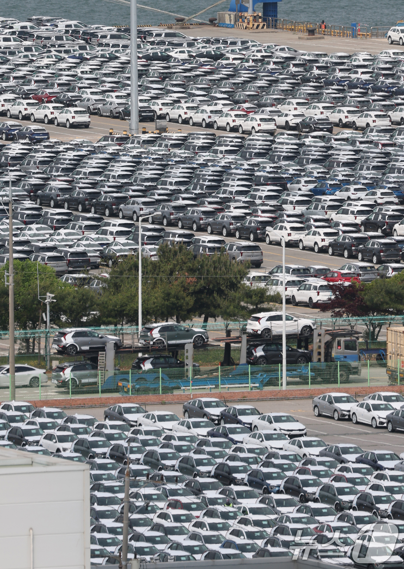 (평택=뉴스1) 김영운 기자 = 20일 경기 평택시 포승읍 평택항 자동차전용부두에 수출용 차량들이 세워져 있다.산업통장자원부가 이날 발표한 '2025년 4월 자동차산업 동향'에 따 …