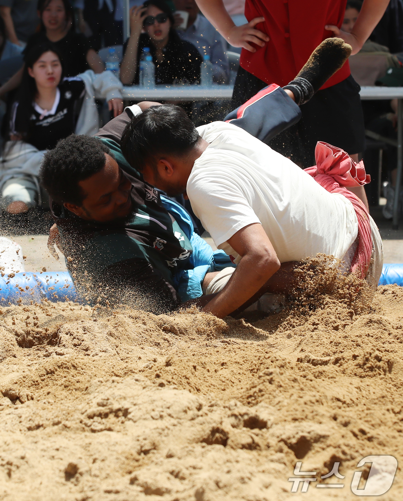 (김해=뉴스1) 윤일지 기자 = 20일 경남 김해 인제대학교 김해캠퍼스에서 열린 '2025 찾아가는 전통씨름·제3회 인제대 총장배 외국인학생 장사 씨름대회'에 참가한 외국인 학생들 …