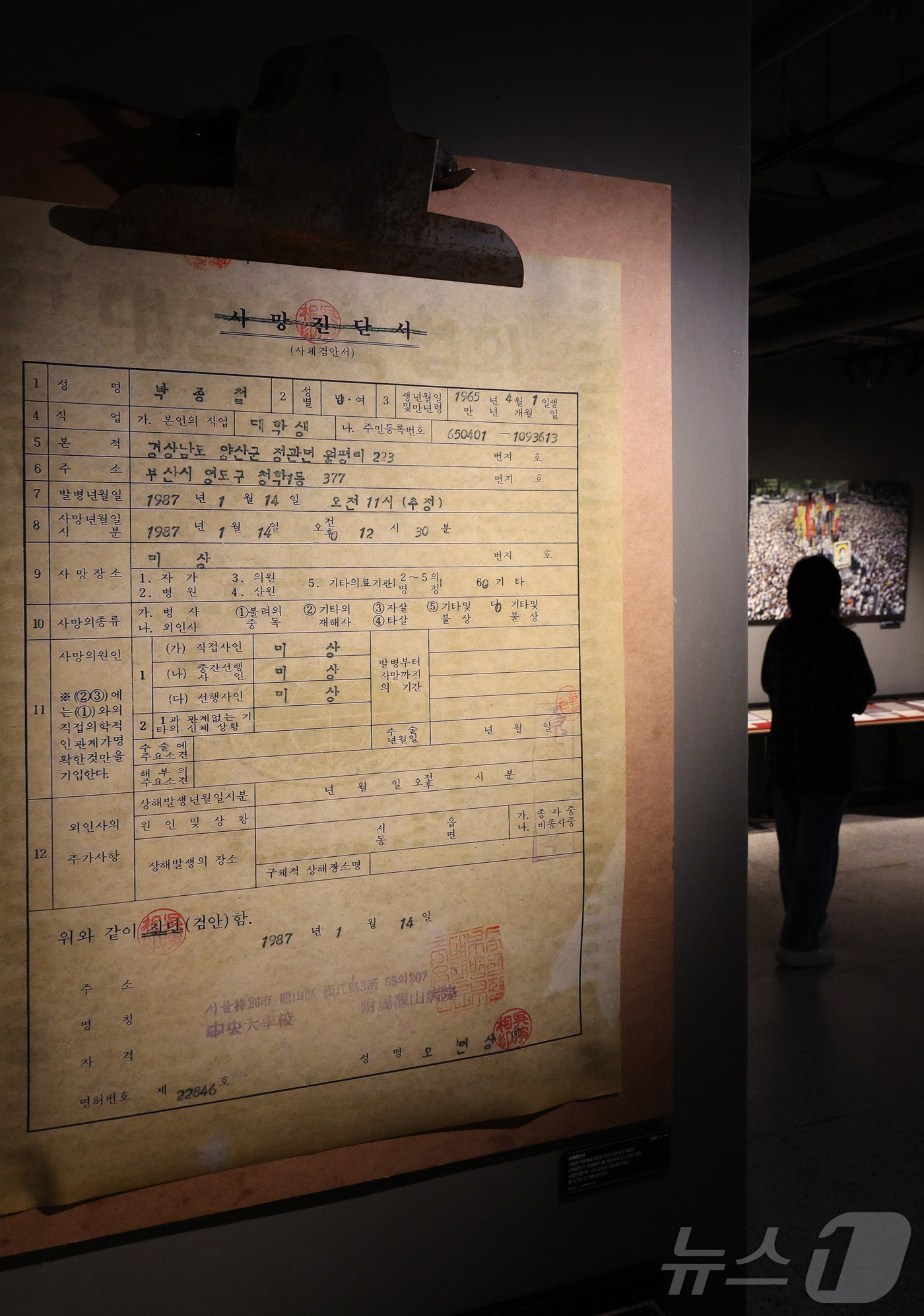 (서울=뉴스1) 신웅수 기자 = 지난 20일 개관을 앞둔 서울 용산구 민주화운동기념관에서 관계자가 박종철 열사의 사망진단서를 살펴보고 있다.민주화운동기념사업회는 국가폭력의 상징이었 …