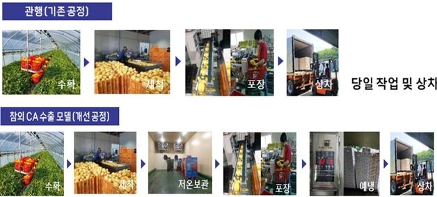 농진청, 첨단 CA 저장기술로 '신선한 참외' 베트남 첫 수출
