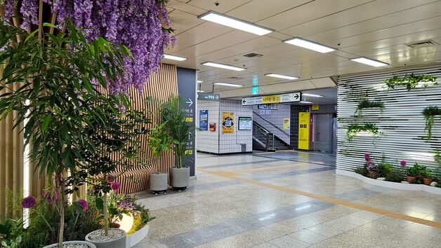 서울시, 보라매 지하철역 내 실내정원 '아래숲길' 조성