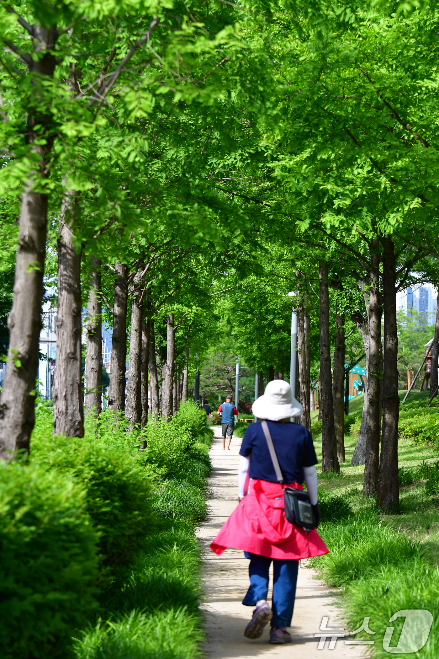 (포항=뉴스1) 최창호 기자 = 21일 경북 포항시 남구 대잠동 철길 숲에서 시민들이 나무 그늘 아래로 산책하고 있다. 2025.5.21/뉴스1