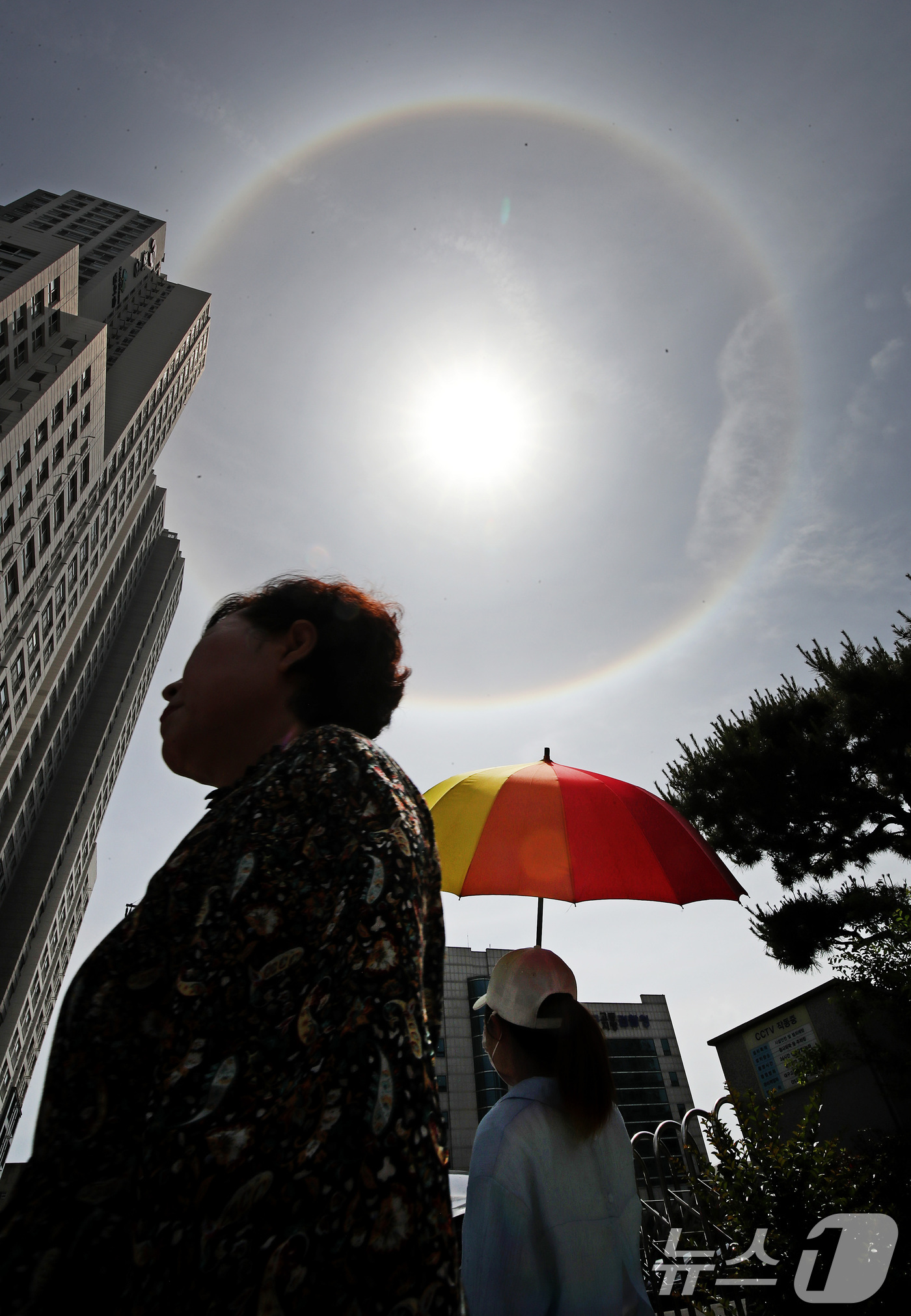 (대구=뉴스1) 공정식 기자 = 21일 오전 대구 수성구 범어동 대구지방법원 주변 하늘에 햇무리 현상이 나타나고 있다. 2025.5.21/뉴스1