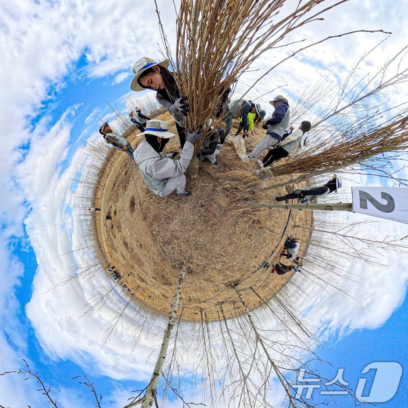 (울란바타르(몽골)=뉴스1) 이승배 기자 = 대한항공과 아시아나항공 임직원들이 지난 20일 몽골 울란바타르시 바가노르구에 위치한 대한항공 숲에서 식림 활동을 하고 있다.대한항공이 …