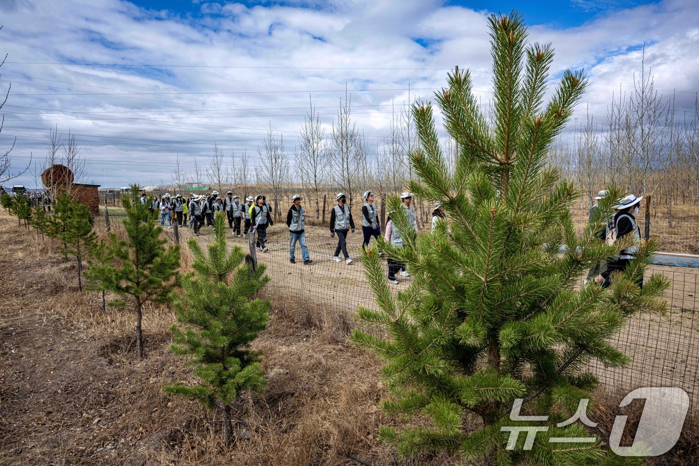 (울란바타르(몽골)=뉴스1) 이승배 기자 = 대한항공과 아시아나항공 임직원들이 지난 20일 몽골 울란바타르시 바가노르구에 위치한 대한항공 숲에서 식림 활동을 하고 있다.올해는 대한 …