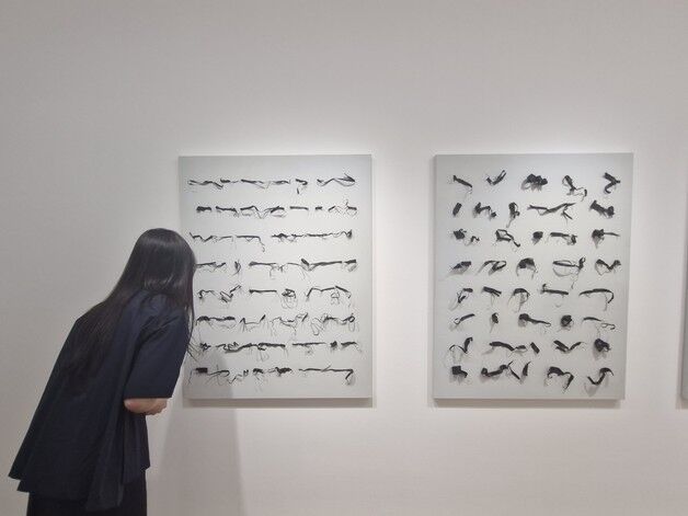 "사물의 본질을 새로운 시각으로 들추다"…이형우 '편백나무'展
