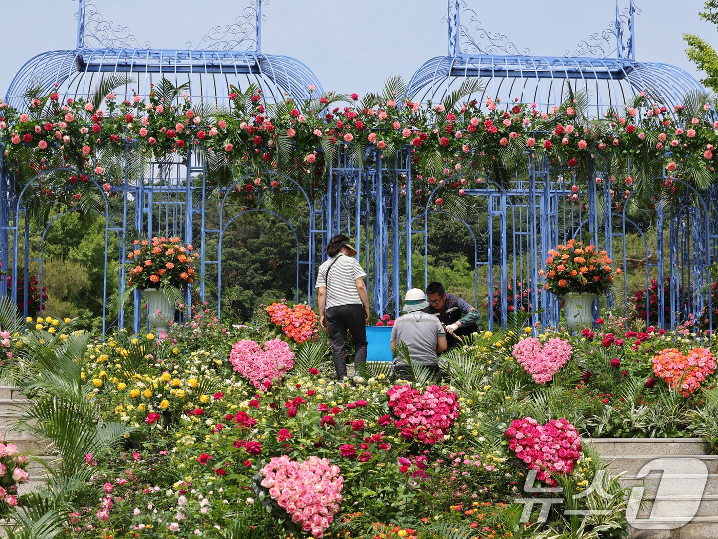 본문 이미지 - 2025 서울국제정원박람회 개막을 하루 앞둔 21일 오후 서울 동작구 보라매공원에서 관계자들이 정원을 가꾸고 있다.  2025.5.21/뉴스1 ⓒ News1 황기선 기자
