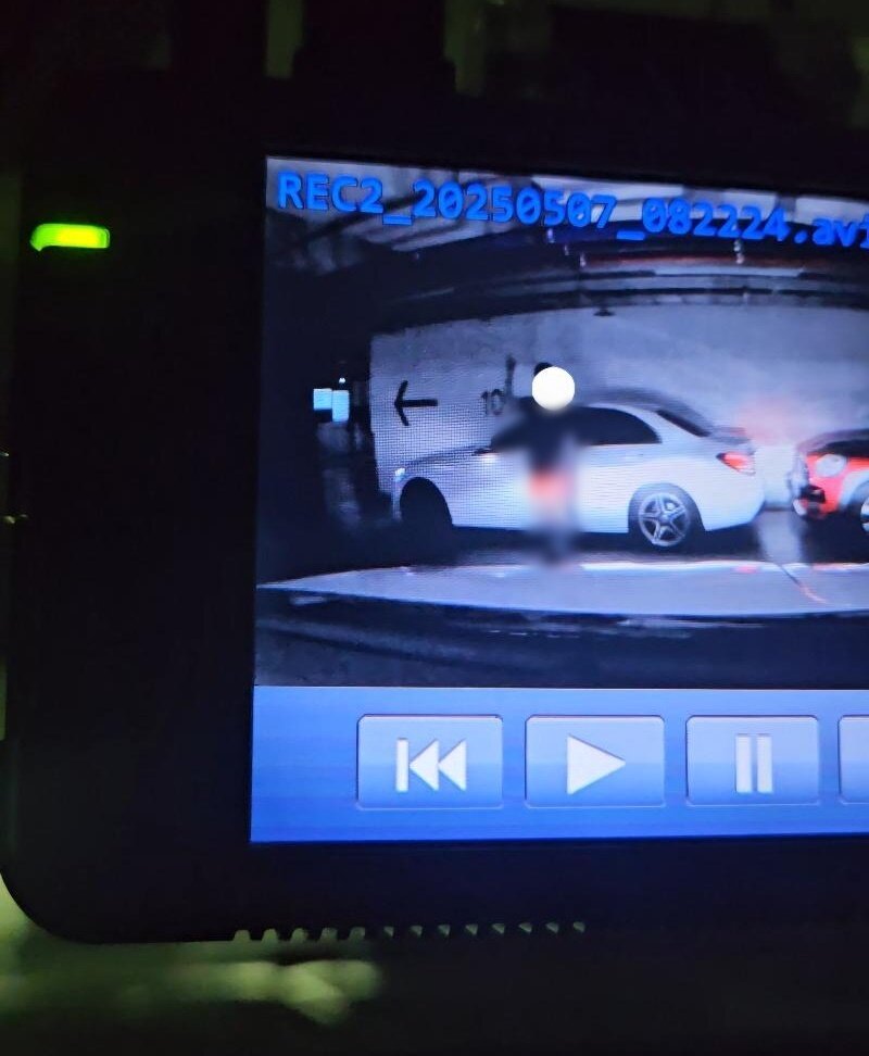 본문 이미지 - &#40;보배드림 갈무리&#41;