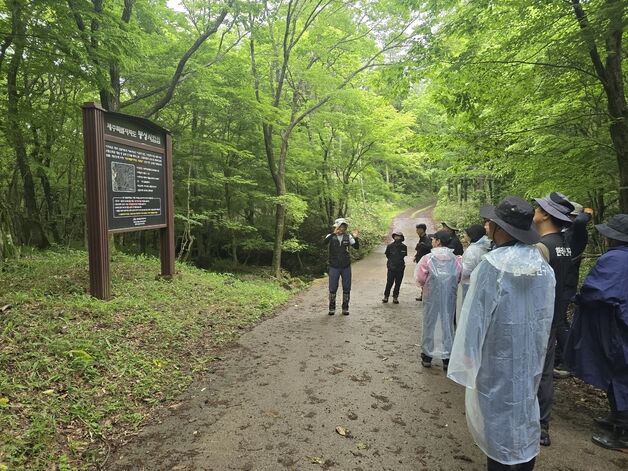 제주도, 멸종위기 식물 비자란·석곡 복원한다