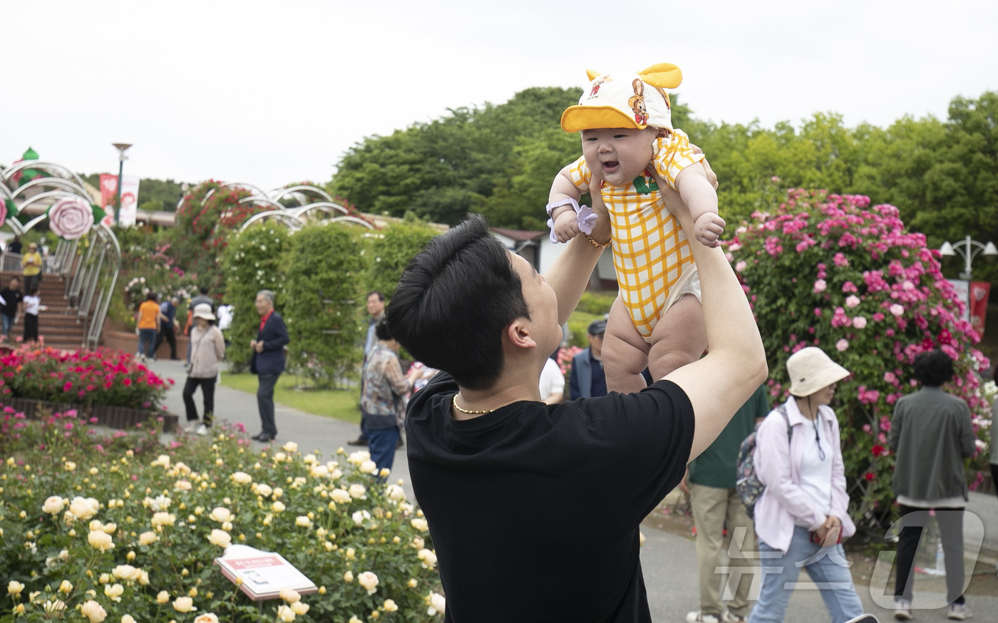 (울산=뉴스1) 김지혜 기자 = 21일 울산대공원 장미원에서 열린 울산대공원 장미축제를 찾은 시민들이 축제를 만끽하고 있다.오는 25일까지 열리는 이번 축제는 300만 송이 장미와 …