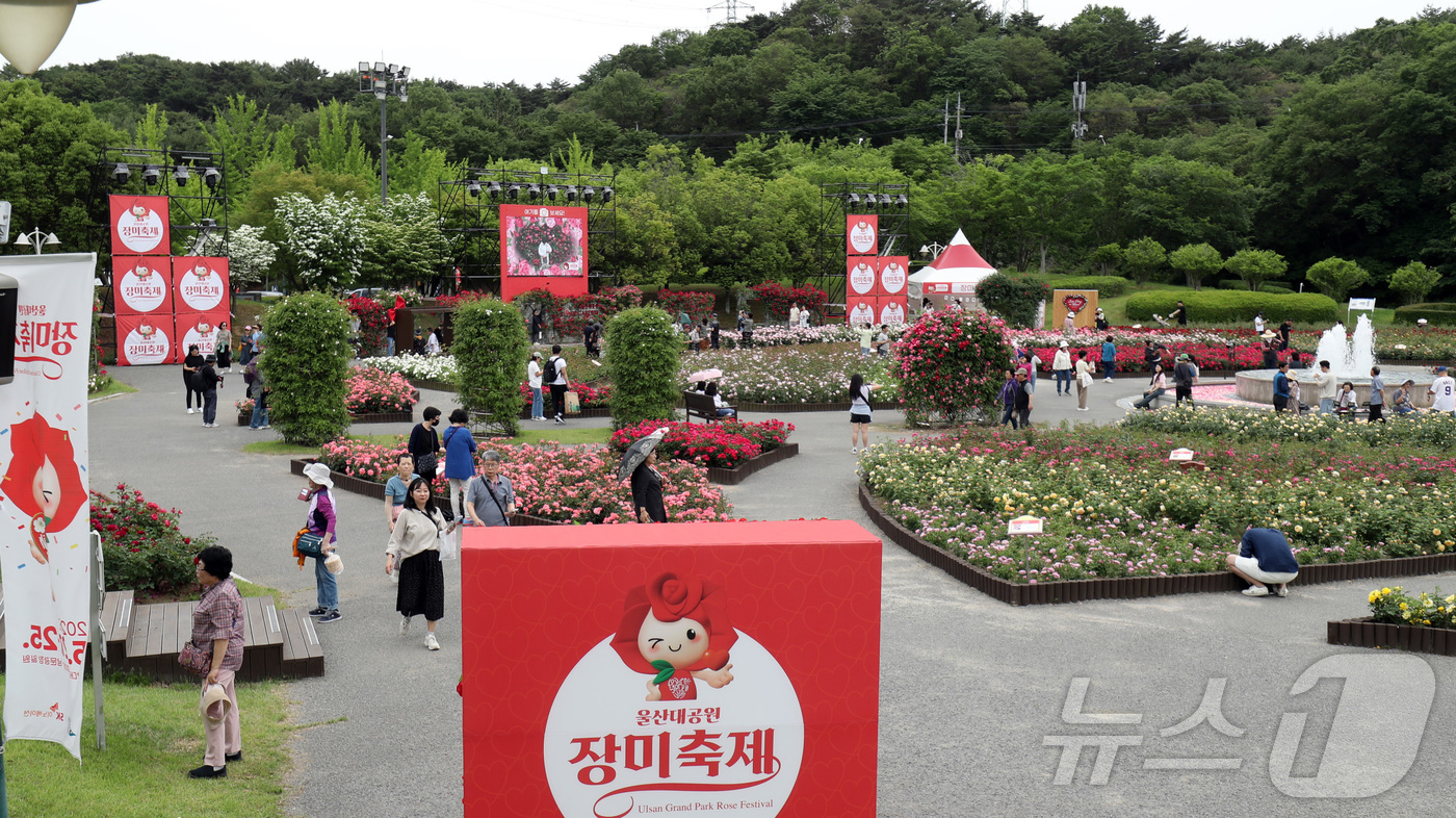 (울산=뉴스1) 김지혜 기자 = 21일 울산대공원 장미원에서 열린 울산대공원 장미축제를 찾은 시민들이 축제를 만끽하고 있다.오는 25일까지 열리는 이번 축제는 300만 송이 장미와 …