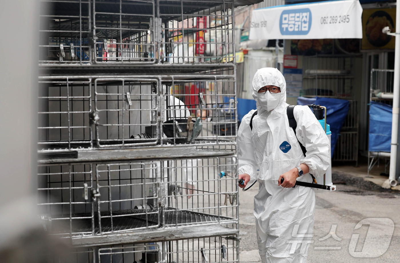 (광주=뉴스1) 박지현 기자 = 21일 광주 북구청 시장산업과 동물정책팀 직원들이 관내 한 재래시장 닭오리 판매업소에서 조류인플루엔자 예방을 위해 긴급 방역을 실시하고 있다.(광주 …