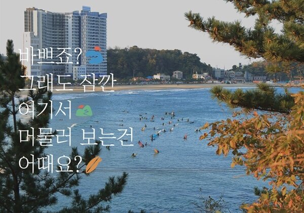 본문 이미지 - 사진=로마드 협동조합 제공