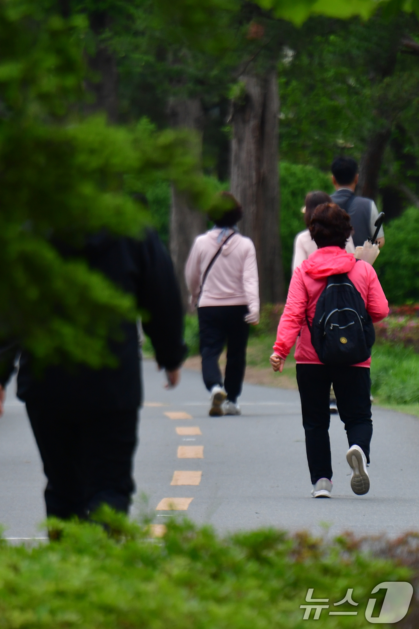 (포항=뉴스1) 최창호 기자 = 22일 오전 경북 포항시 남구 대잠동 철길 숲에서 긴팔 차림으로 산책하고 있다.기상청은 이날 포항지역 낮 최고 기온이 18도를 기록할 것으로 예보했 …