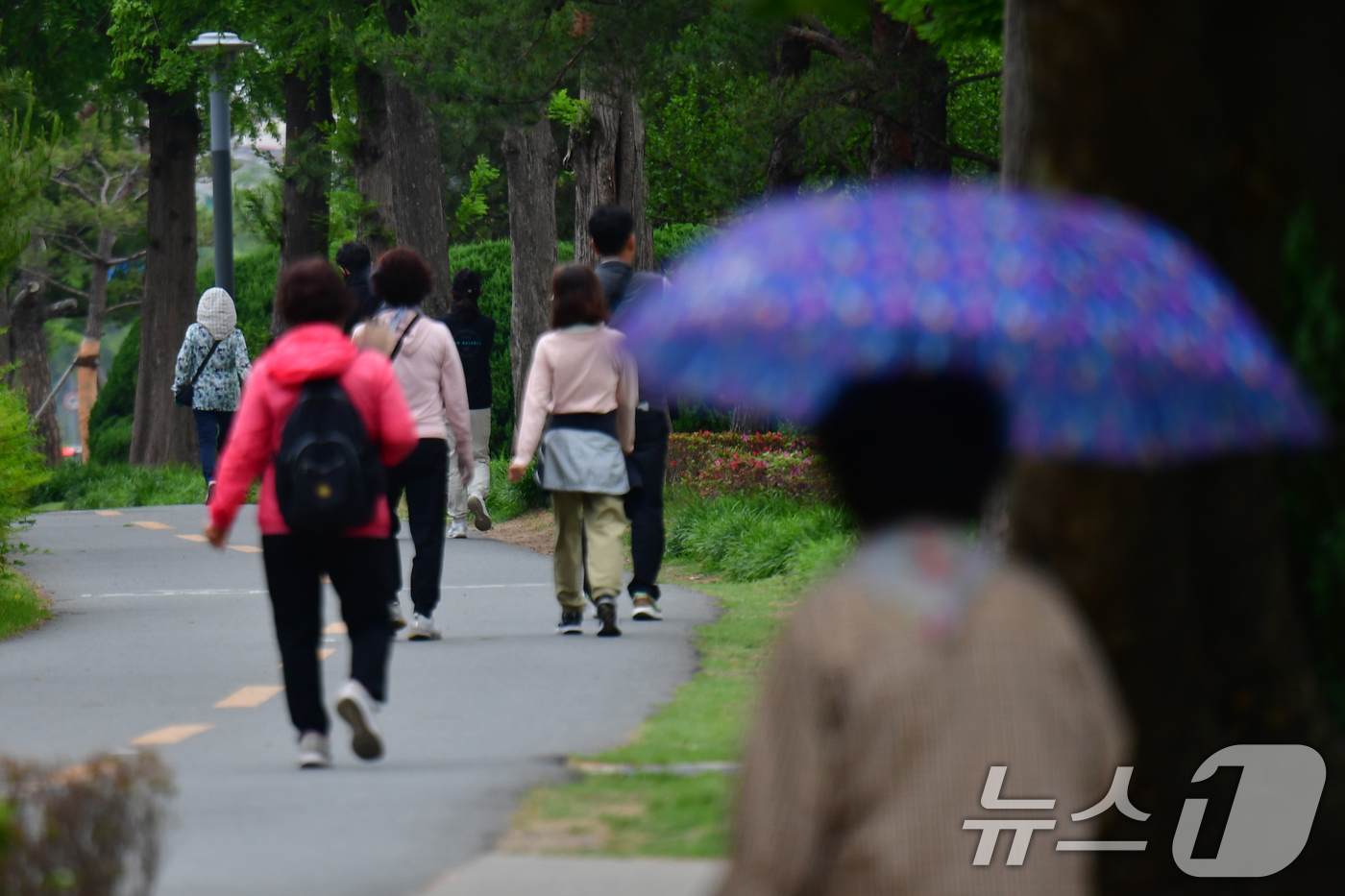 (포항=뉴스1) 최창호 기자 = 22일 오전 경북 포항시 남구 대잠동 철길 숲에서 긴팔 차림으로 산책하고 있다.기상청은 포항지역 낮 최고 기온이 18도를 기록할 것으로 예보했다. …