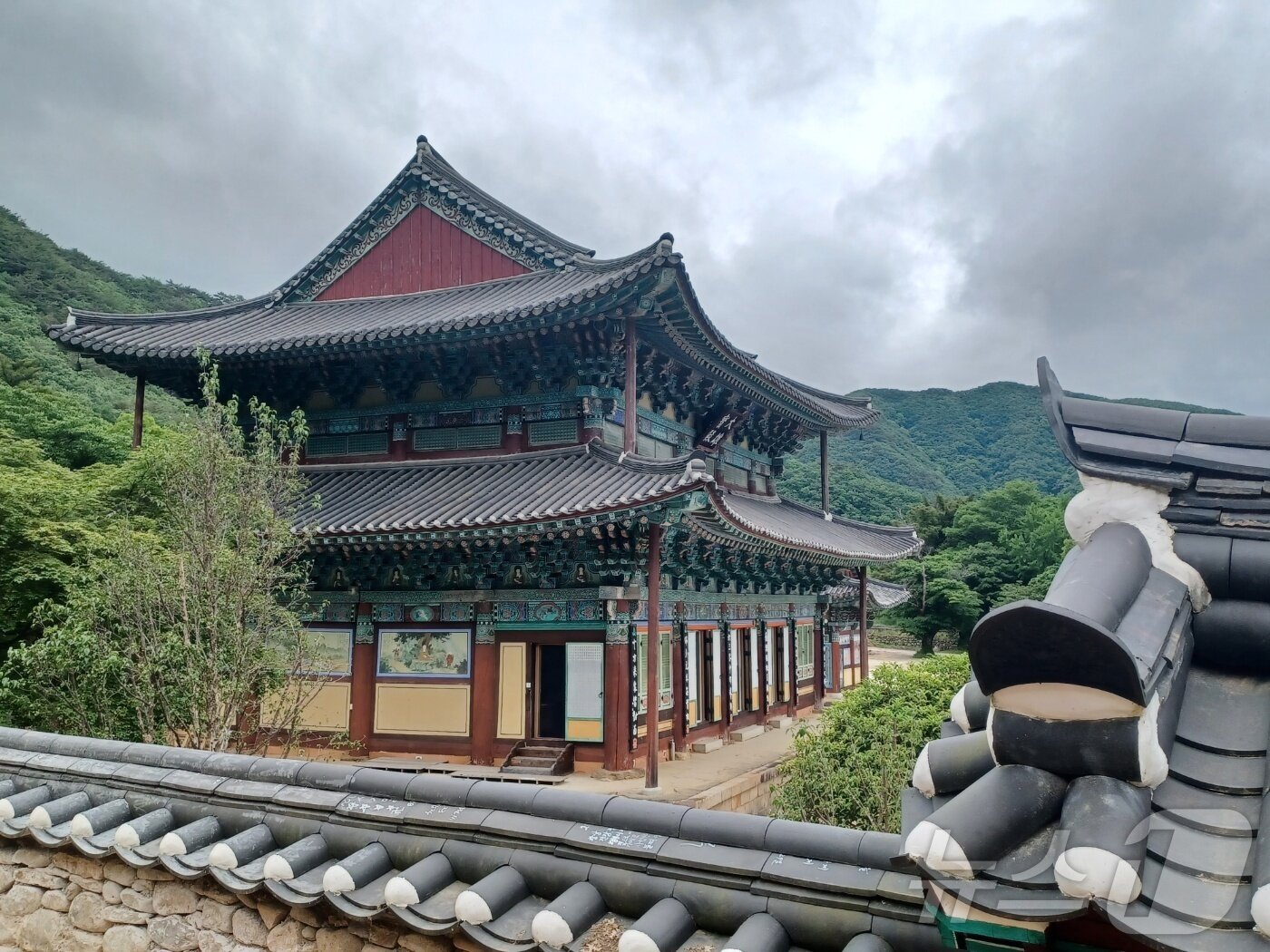 본문 이미지 - 장흥 보림사 2025.5.22/뉴스1