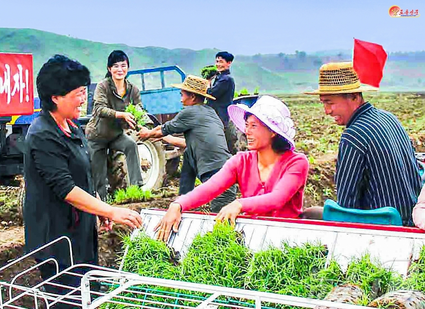 (평양 노동신문=뉴스1) = 북한 노동당 기관지 노동신문은 22일 토산군 읍농장에서 선진농법을 받아들이기 위해 애쓴 보람이 벼모들에서 나타났다고 보도했다. [국내에서만 사용가능. …