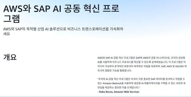 "ERP 기반 AI 설루션 협력"…AWS·SAP '공동 AI 혁신 프로그램'