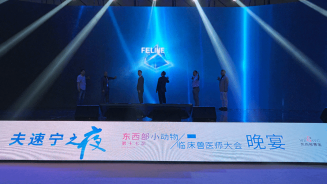 본문 이미지 - 21일 중국 하문 샤먼국제컨퍼런스전시센터에서 열린 '제17회 WESAVC'에서 한중일 3국의 아시아고양이수의사회 창립 선언이 공개됐다. ⓒ 뉴스1