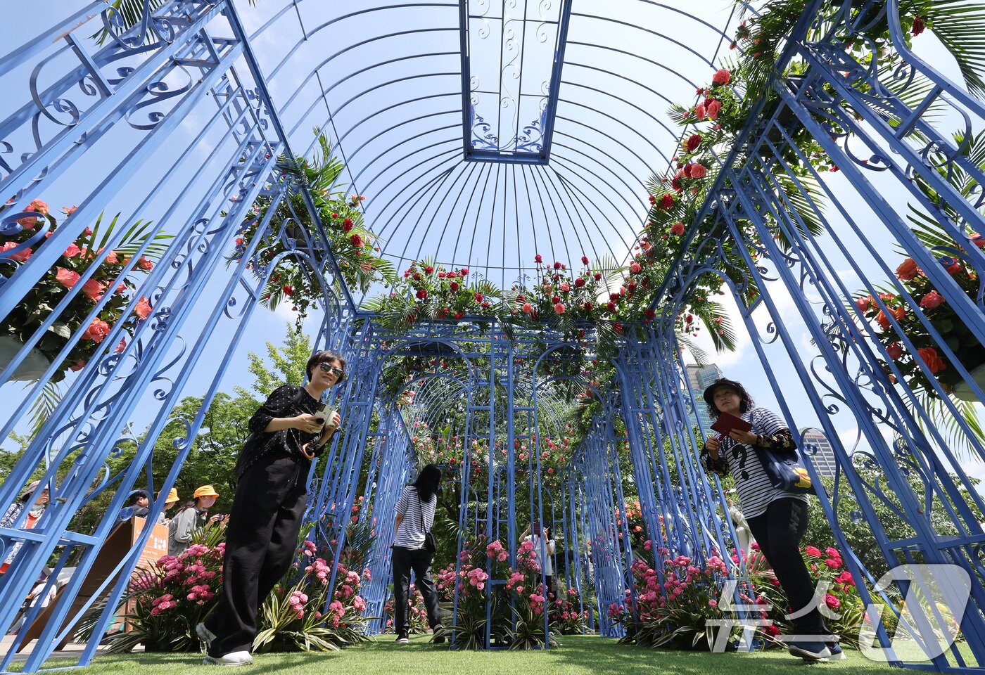 본문 이미지 - 10월 20일까지 열리는 &#39;2025 서울국제정원박람회&#39;를 찾은 시민들. /뉴스1 ⓒ News1 이동해 기자