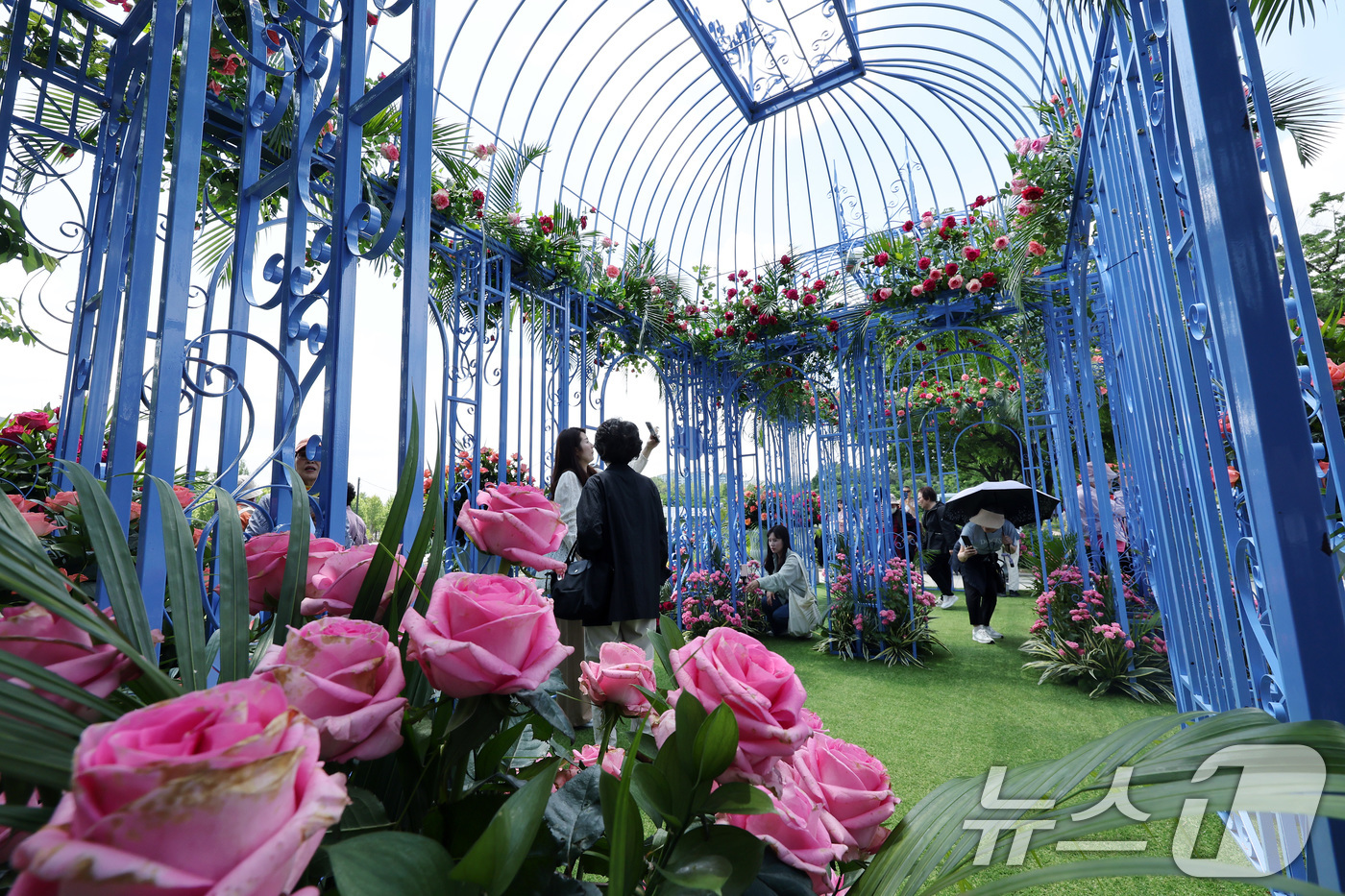 (서울=뉴스1) 이동해 기자 = 2025 서울국제정원박람회 개막일인 22일 서울 동작구 보라매공원을 찾은 시민들이 조성된 정원을 둘러보고 있다. 오는 10월 20일까지 열리는 이번 …