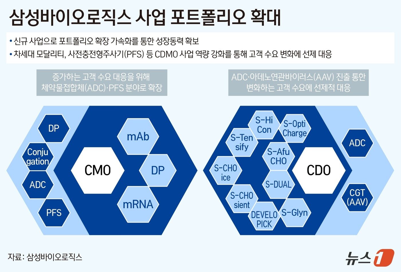 본문 이미지 - ⓒ News1 양혜림 디자이너